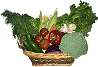 Nambucca Naturals